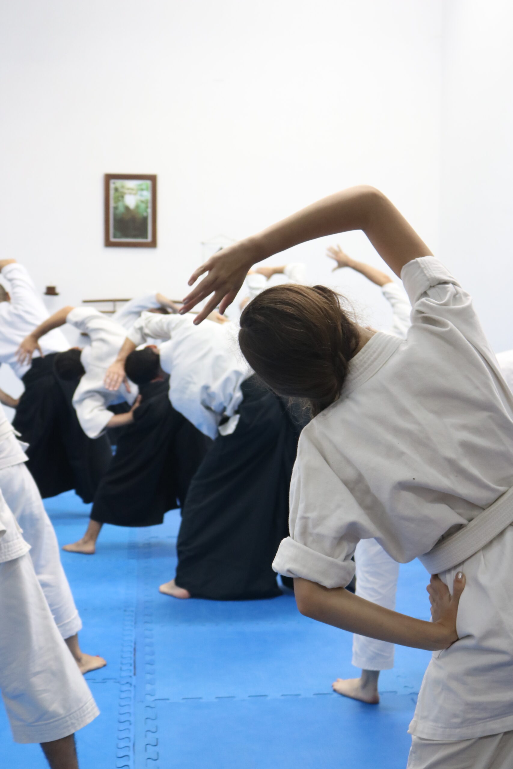 un grupo de practicantes de aikido (cinturones blancos y negros) elongando en conjunto